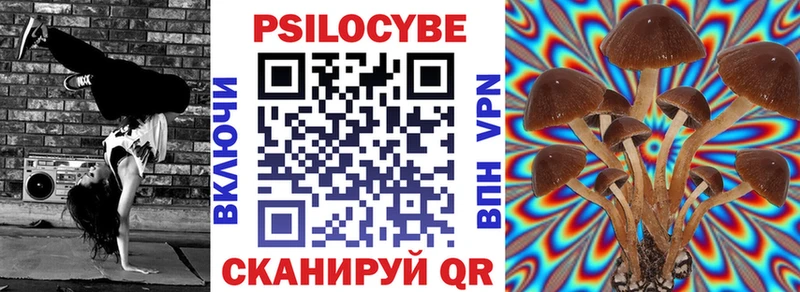 дарк нет как зайти  дарнет шоп  Истра  Галлюциногенные грибы Cubensis 